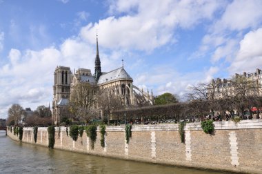 Notre dame de paris seine Nehri