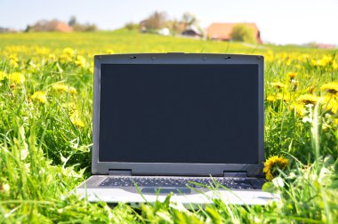 Bahar çayır üstünde laptop