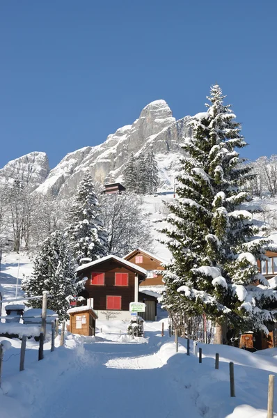 Альпійськими пейзажами, Браунвальд, Швейцарія — стокове фото