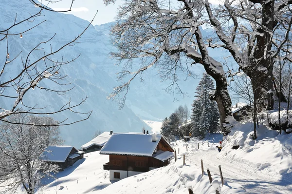 Alpint landskap, braunwald, Schweiz — Stockfoto