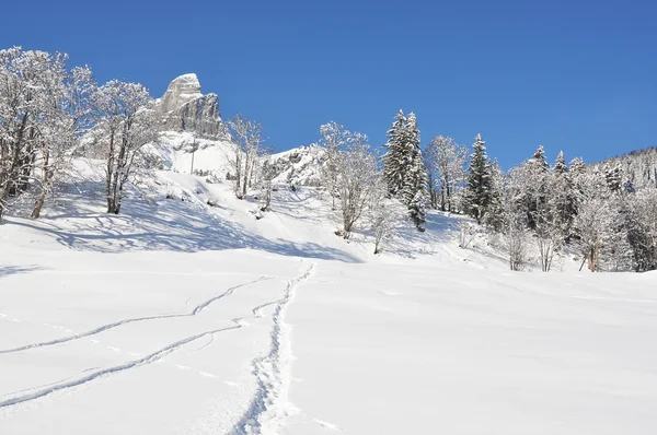 Alpine Landschaft, Braunwald, Schweiz — Stockfoto