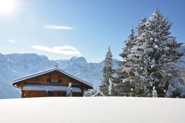 Alpint landskap, braunwald, Schweiz — Stockfoto