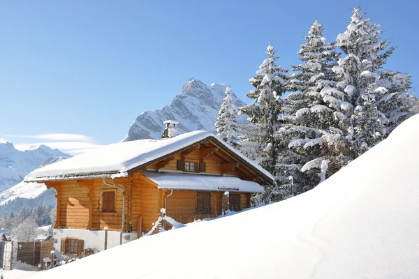 Paesaggio alpino. Svizzera — Foto Stock