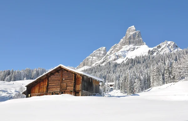 Alpine scenery — Stock Photo, Image