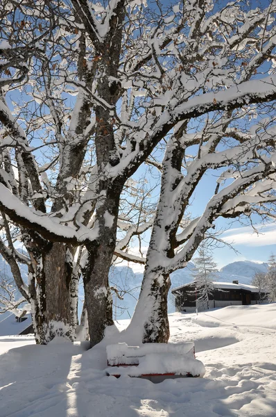 Alpenkulisse. braunwald, schweiz — Stockfoto