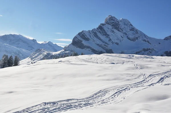 高山风光、 braunwald 瑞士 — 图库照片