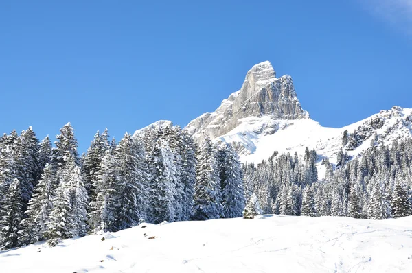 Braunwald, berühmtes Schweizer Skigebiet — Stockfoto