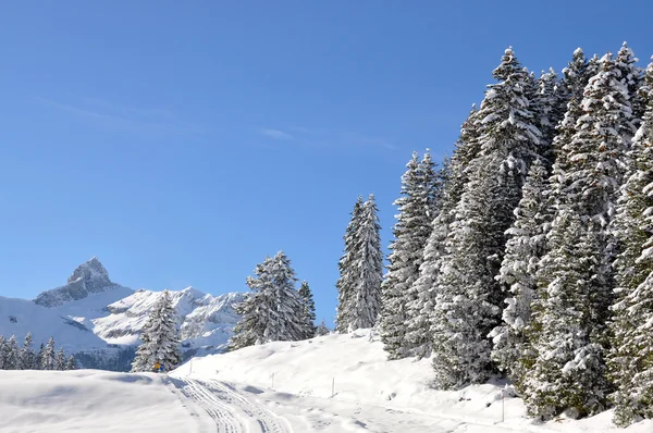 Majestätiska alpina Visa. Braunwald, Schweiz — Stockfoto