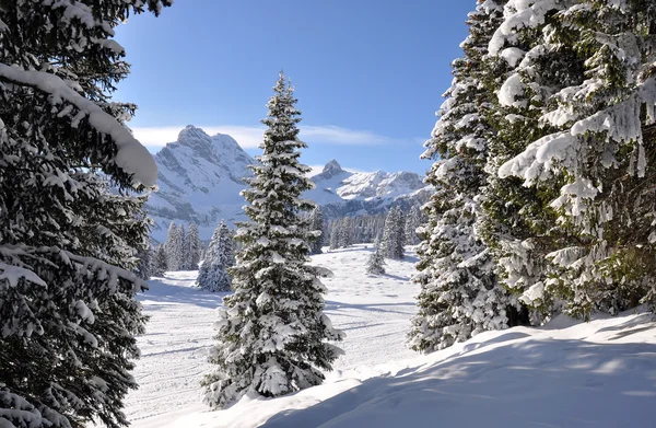 Majestosa vista alpina. Braunwald, Suíça — Fotografia de Stock