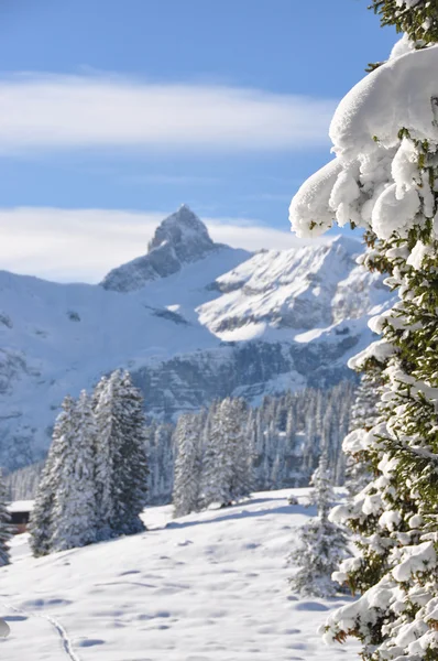 Braunwald，著名的瑞士滑雪度假村 — 图库照片