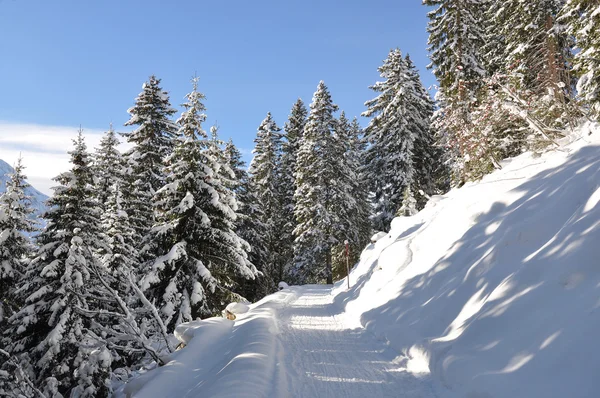 Braunwald，著名的瑞士滑雪度假村 — 图库照片