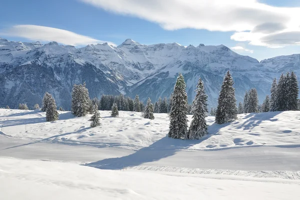 Braunwald, famosa estância de esqui suíça — Fotografia de Stock