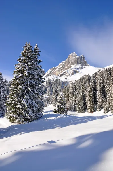 Montaje Eggstoeke 2449m. Braunwald, Suiza — Foto de Stock