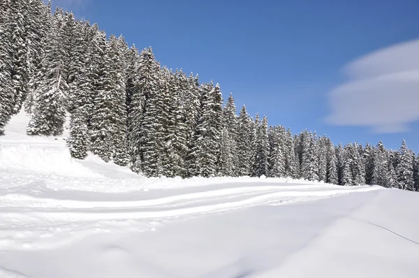 Braunwald, Svizzera — Foto Stock