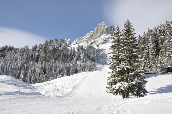 Montaje Eggstoeke 2449m. Braunwald, Suiza — Foto de Stock