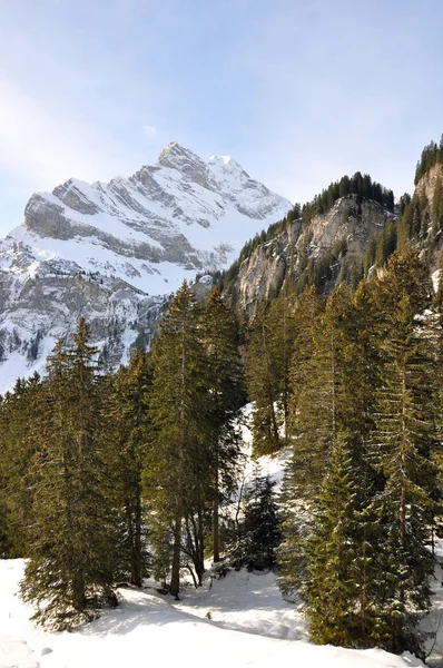 Braunwald, Szwajcaria — Zdjęcie stockowe