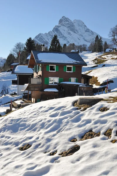 Wiosna w Alpach. ortstock Góra, Szwajcaria — Zdjęcie stockowe