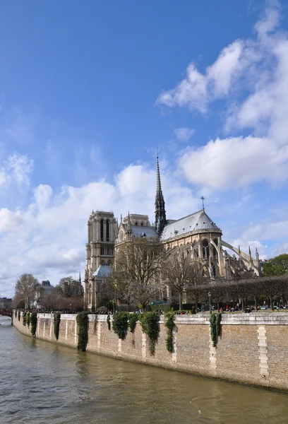 Notre dame de paris over de rivier de seine — Stockfoto