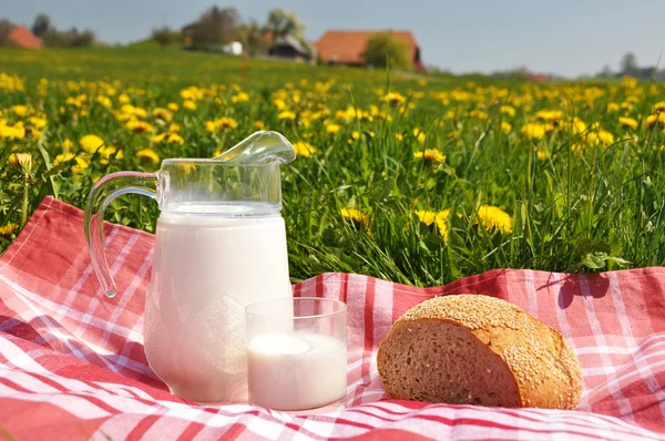 Milchkrug und Brot auf der Frühlingswiese. emmental region, swi — Stockfoto