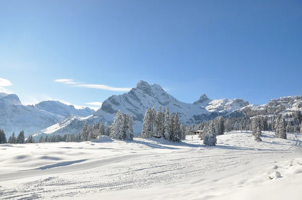 Braunwald, famosa estación de esquí suiza Fotos De Stock