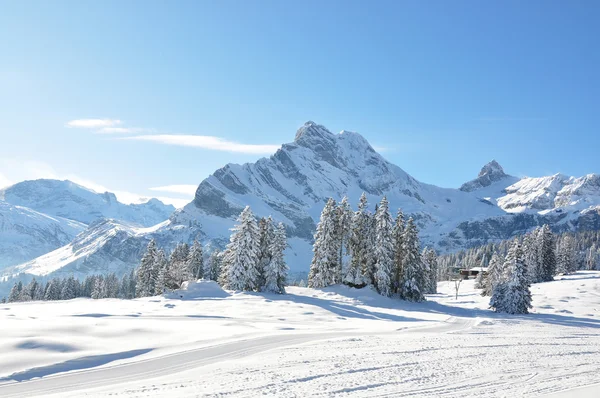 Braunwald, Switzerland Royalty Free Stock Photos