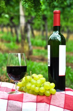 kırmızı şarap ve üzüm wineyards karşı