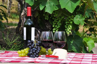 kırmızı şarap ve üzüm wineyards karşı