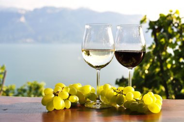 iki kadehlerin ve üzüm karşı Cenevre Gölü. Lavaux bölge, s