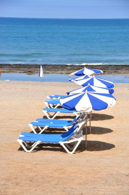 Sunbeds and umbrellas on the sandy beach of Tenerife island, Can clipart