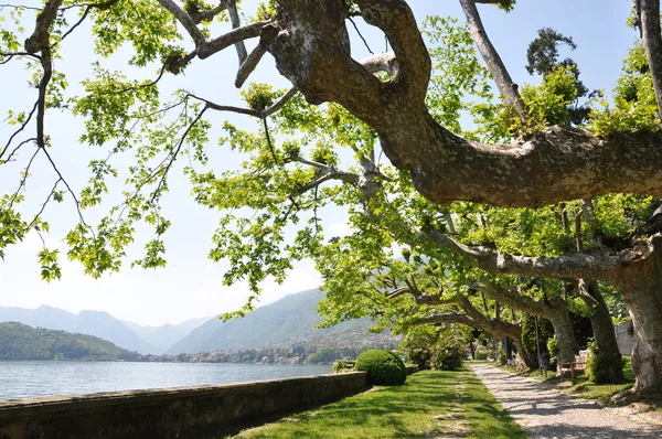 Tremezzo ciudad en el famoso lago italiano de Como —  Fotos de Stock