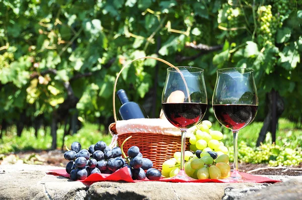 Red wine and grapes served at a picnic — Stock Photo, Image