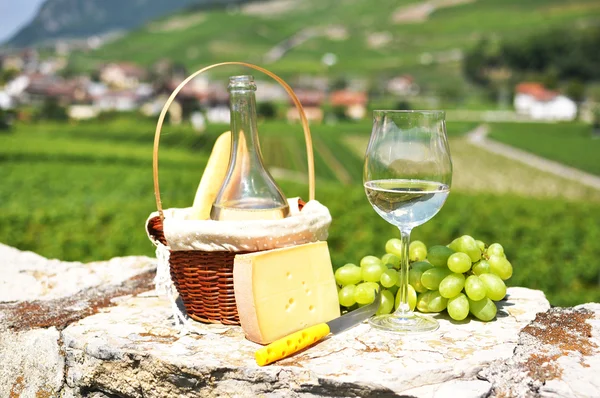 Wine, grapes and cheese against vineyards — Stock Photo, Image