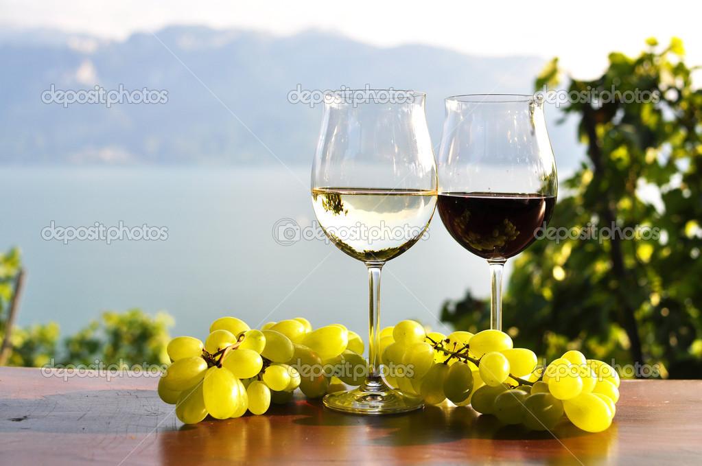 Two wineglasses and grapes against Geneva lake. Lavaux region, S