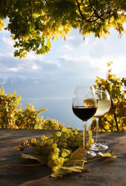 Pair of wineglasses and bunch of grapes. Lavaux region, Switzer clipart