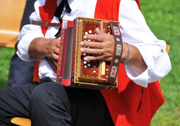 Accordionist — Stock Photo, Image