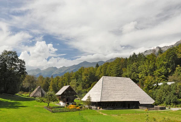 Swiss village — Stock Photo, Image