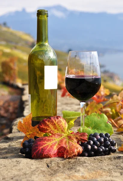 Glass of red wine on the terrace vineyard in Lavaux region, Swit — Stock Photo, Image