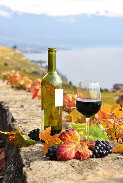 Κόκκινο κρασί και σταφύλια με το αμπέλι βεράντα στην περιοχή του lavaux, ΝΔ — Φωτογραφία Αρχείου