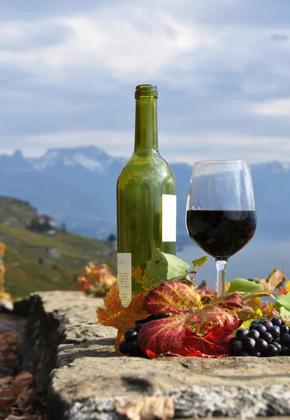 Vino tinto y uvas en Lavaux, Suiza — Foto de Stock