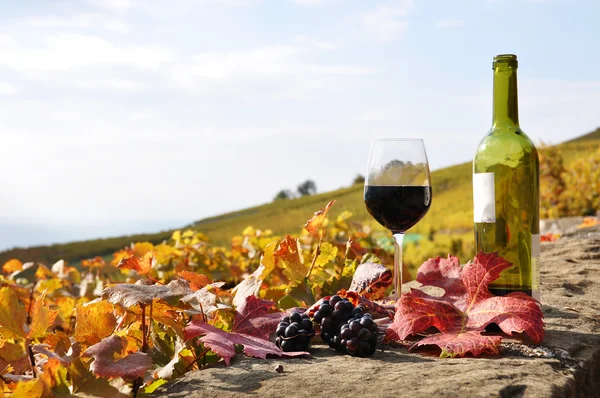 Red wine and grapes on the terrace vineyard in Lavaux region, Sw — Stock Photo, Image