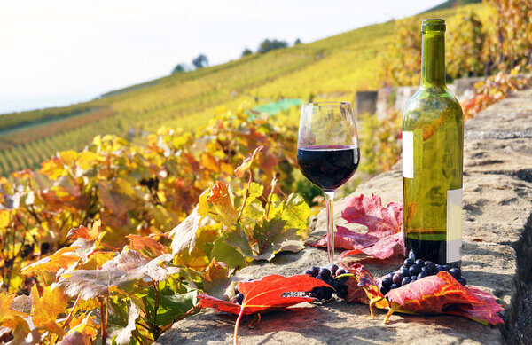 Red wine in Lavaux region Switzerland