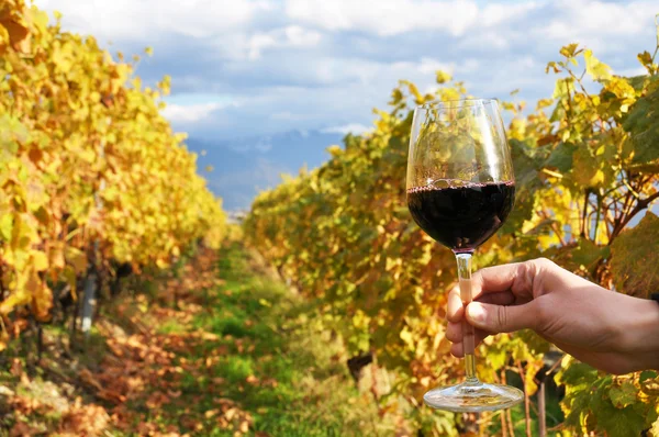 Weinglas in der Hand gegen Weinberge in der Region Lavaux, Schweiz — Stockfoto