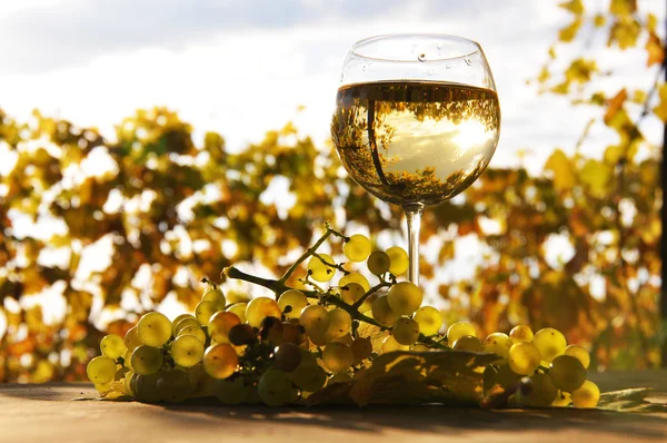 Wineglass and bunch of grapes. Lavaux region, Switzerland — Stock Photo, Image