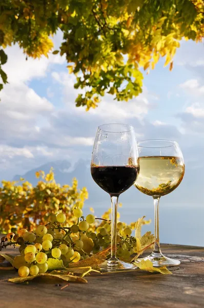 Pair of wineglasses and bunch of grapes. Lavaux region, Switzerl — Stock Photo, Image