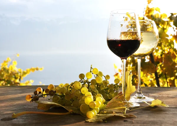 Paire de verres à vin et bouquet de raisins. Région de Lavaux, Suisse — Photo