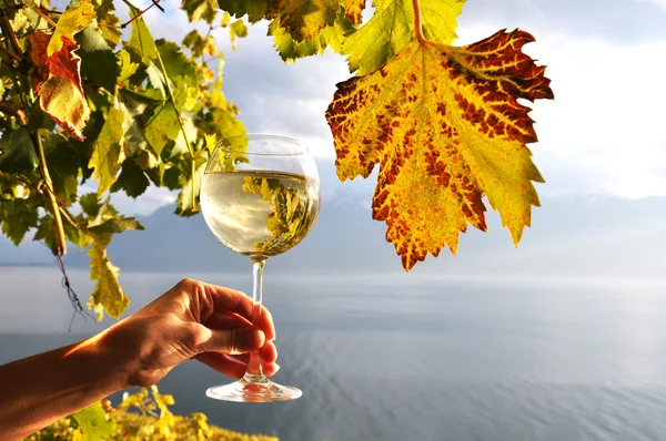 Винное стекло в руке против Женевского озера в регионе Лаво, Свит — стоковое фото