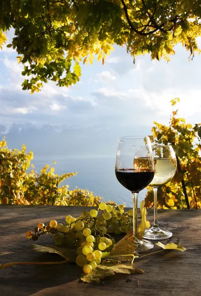 Par de gafas de vino y racimo de uvas. Región de Lavaux, Suiza —  Fotos de Stock