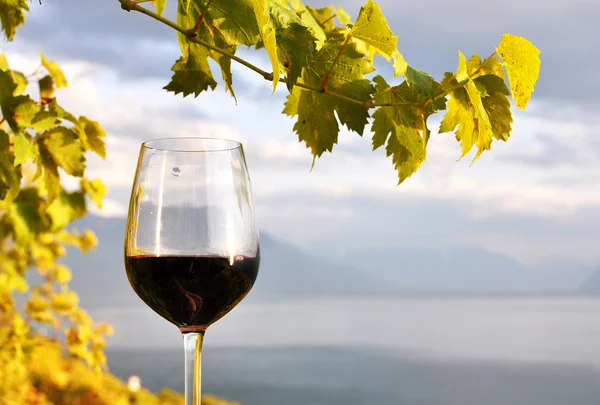 Glass of red wine against Geneva lake. Lavaux region, Switzerlan — Stock Photo, Image