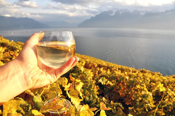 Wineglass in the hand against vineyards in Lavaux region, Switze — Stock Photo, Image