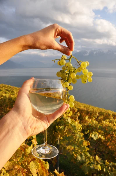 Wijnglas in de hand tegen wijnbergen in lavaux-gebied, switze — Stockfoto